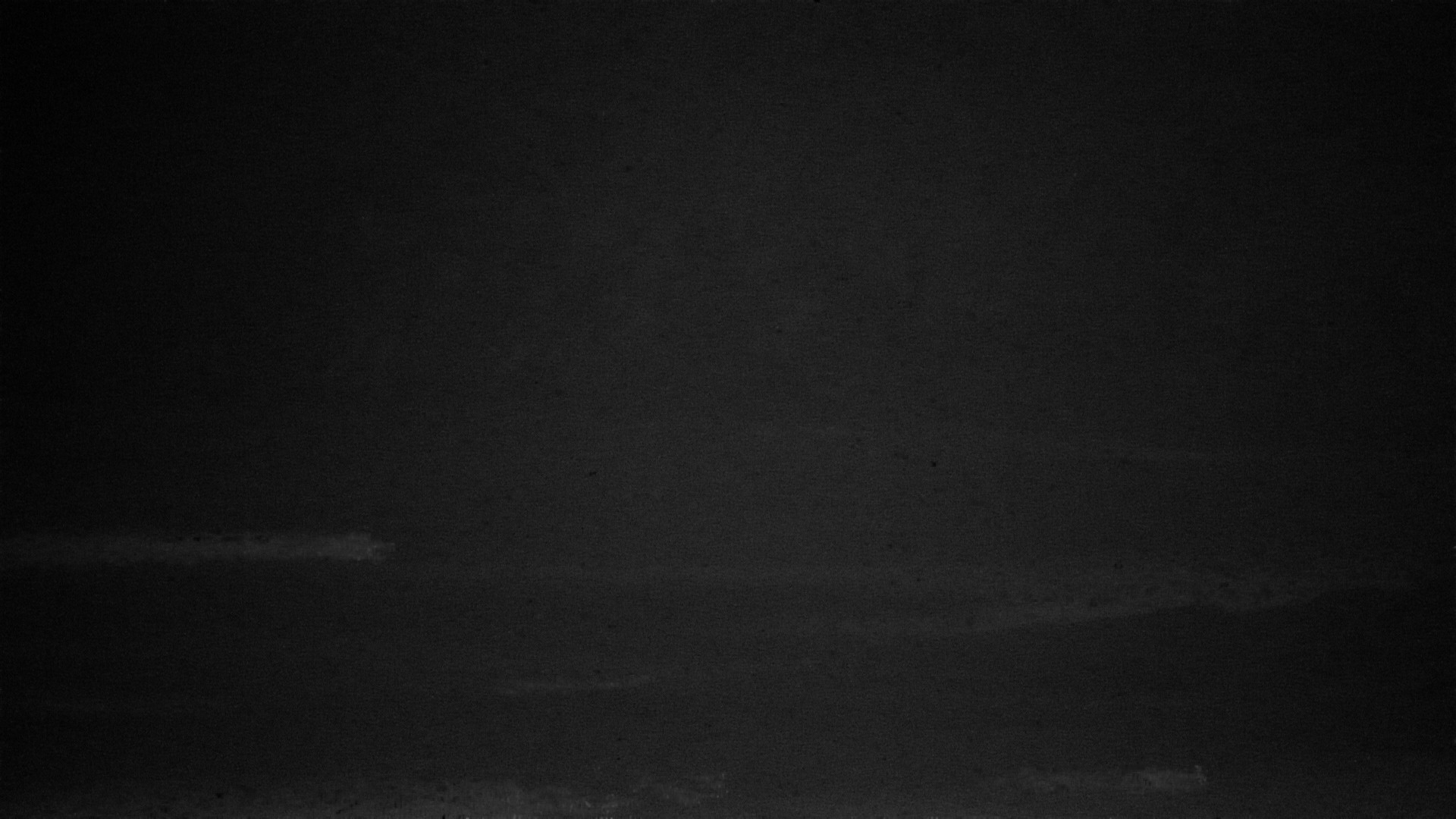 Cabarita Cove surfcam still image